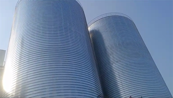 古丈2座混凝土高架卷板仓